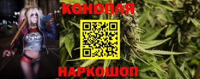 крисы Будённовск
