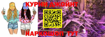 крисы Будённовск