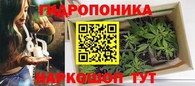 крисы Будённовск