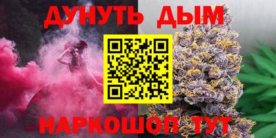 крисы Будённовск
