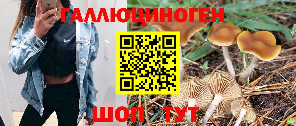 Псилоцибиновые грибы MAGIC MUSHROOMS Котлас